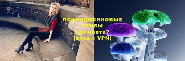 прущая мука Алзамай