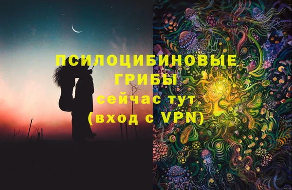 прущая мука Алзамай