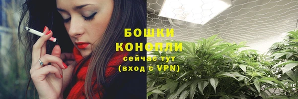 прущие грибы Михайловск